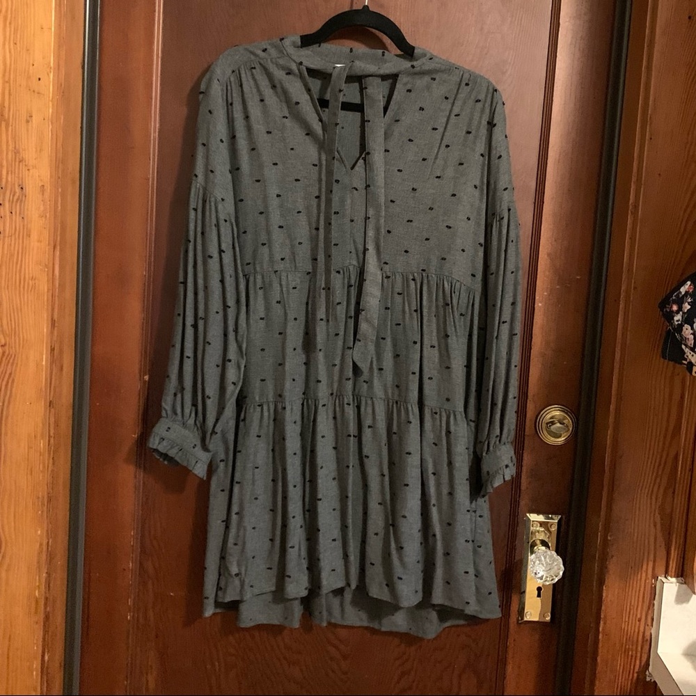 Zara dot dress